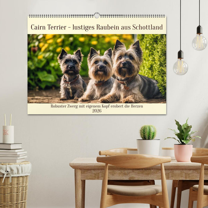 Cairn Terrier - lustiges Raubein aus Schottland (CALVENDO Wandkalender 2026)