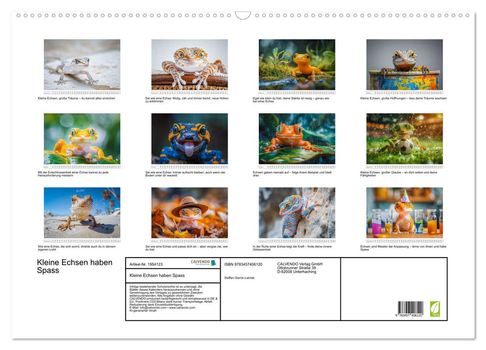 Kleine Echsen haben Spass (CALVENDO Wandkalender 2026)