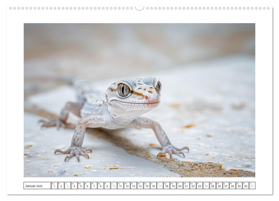 Kleine Echsen haben Spass (CALVENDO Wandkalender 2026)