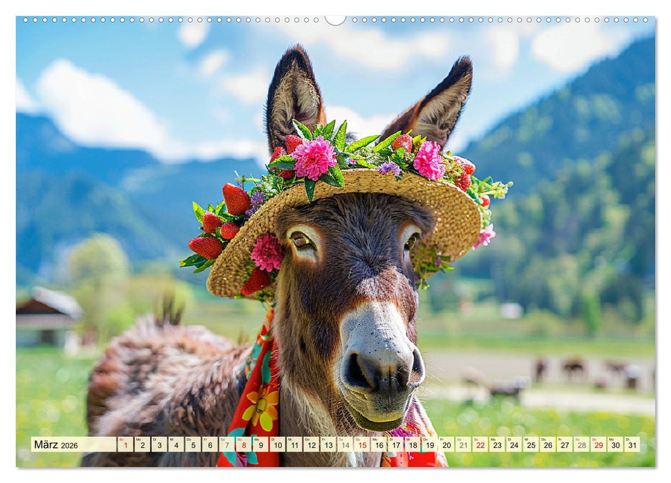 Esel mit Hut! Blumige Eleganz für ein modisches Märchen (CALVENDO Wandkalender 2026)