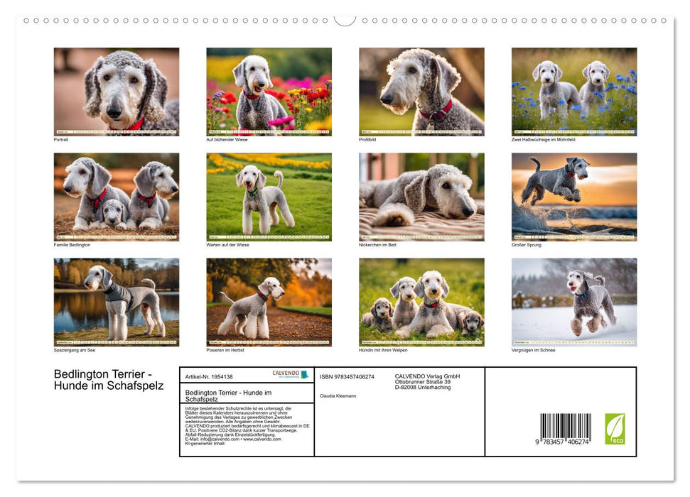 Bedlington Terrier - Hunde im Schafspelz (CALVENDO Premium Wandkalender 2026)