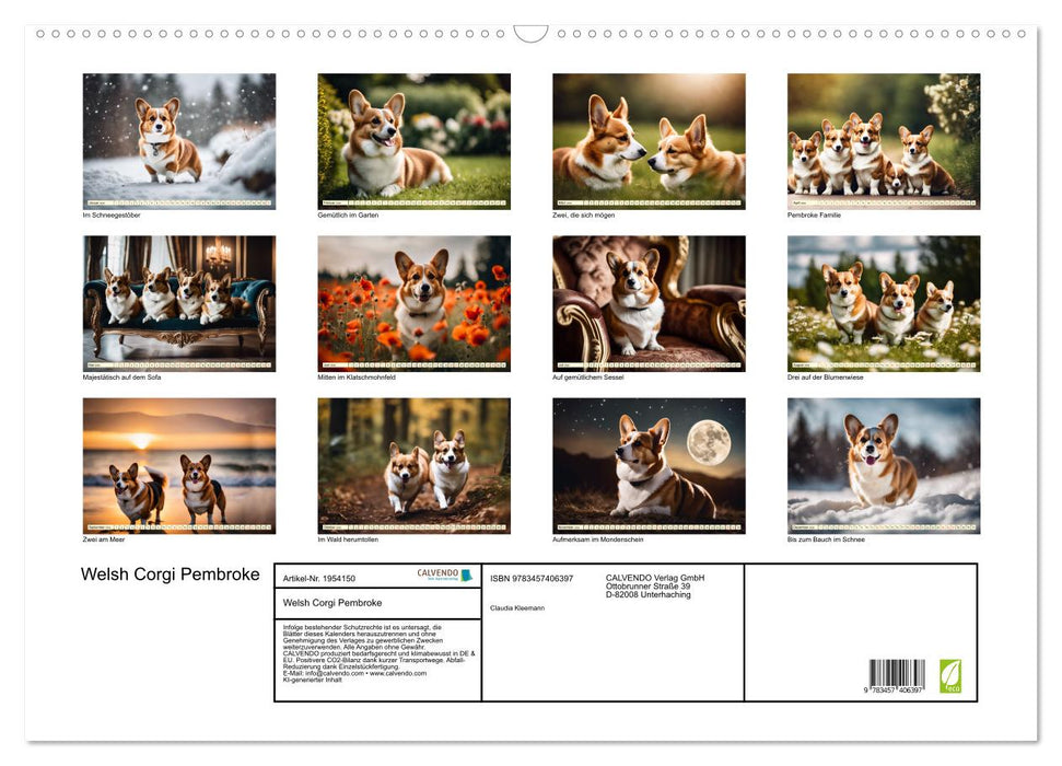 Welsh Corgi Pembroke (CALVENDO Wandkalender 2026)