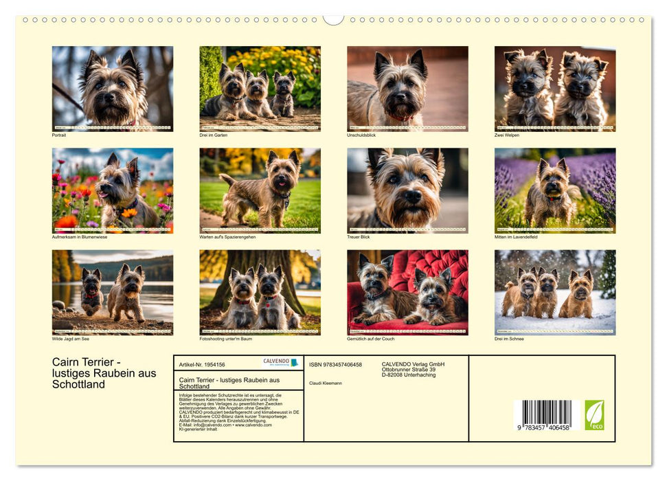 Cairn Terrier - lustiges Raubein aus Schottland (CALVENDO Premium Wandkalender 2026)