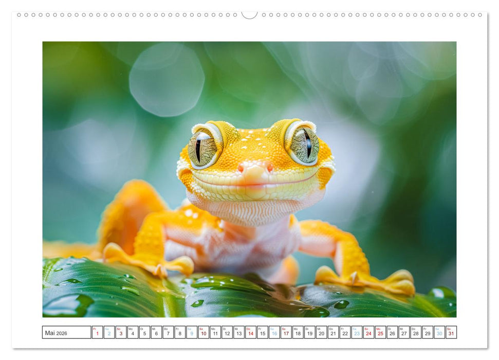 Kleine Echsen haben Spass (CALVENDO Premium Wandkalender 2026)
