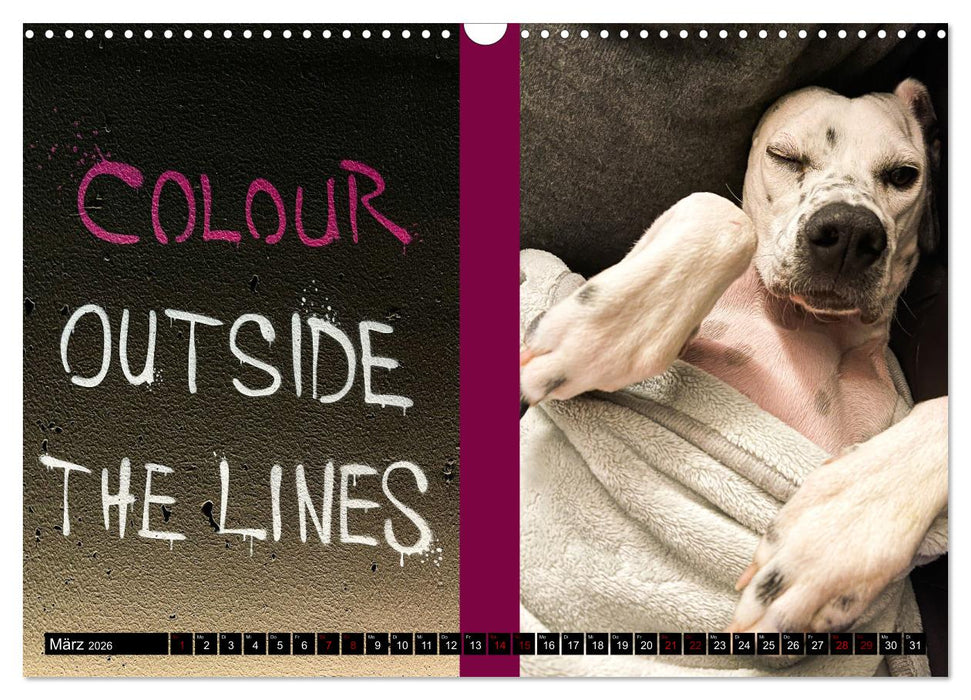 Applause To Life (CALVENDO Wandkalender 2026)