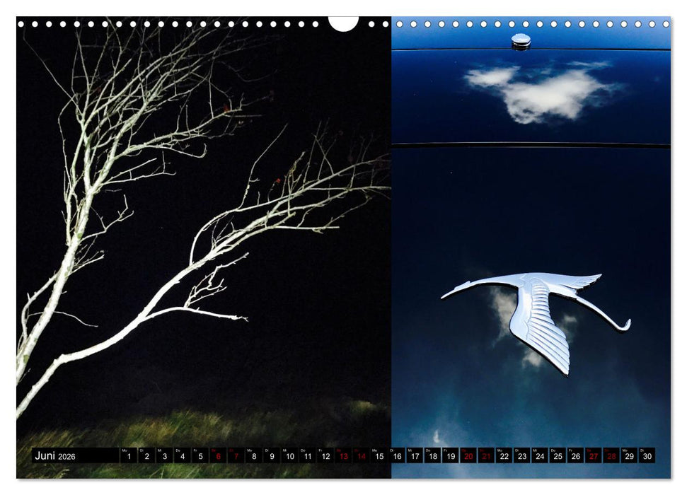 Applause To Life (CALVENDO Wandkalender 2026)