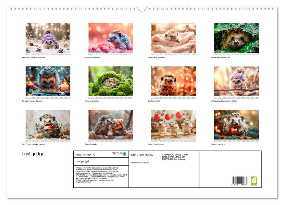 Lustige Igel (CALVENDO Wandkalender 2026)