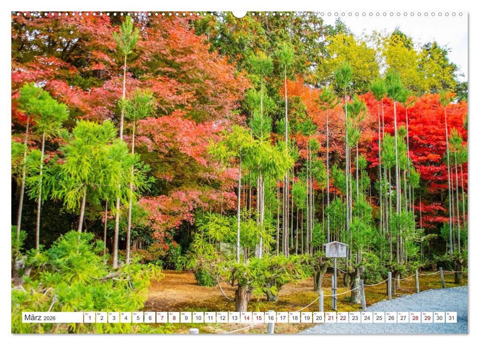 Herbst in Japan (CALVENDO Wandkalender 2026)
