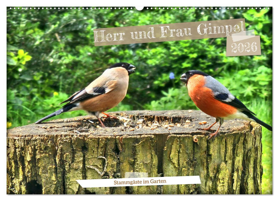 Herr und Frau Gimpel - Stammgäste im Garten (CALVENDO Wandkalender 2026)