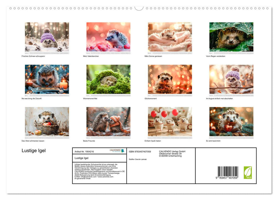 Lustige Igel (CALVENDO Premium Wandkalender 2026)