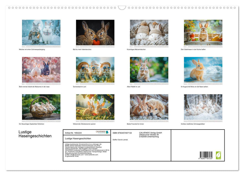 Lustige Hasengeschichten (CALVENDO Wandkalender 2026)