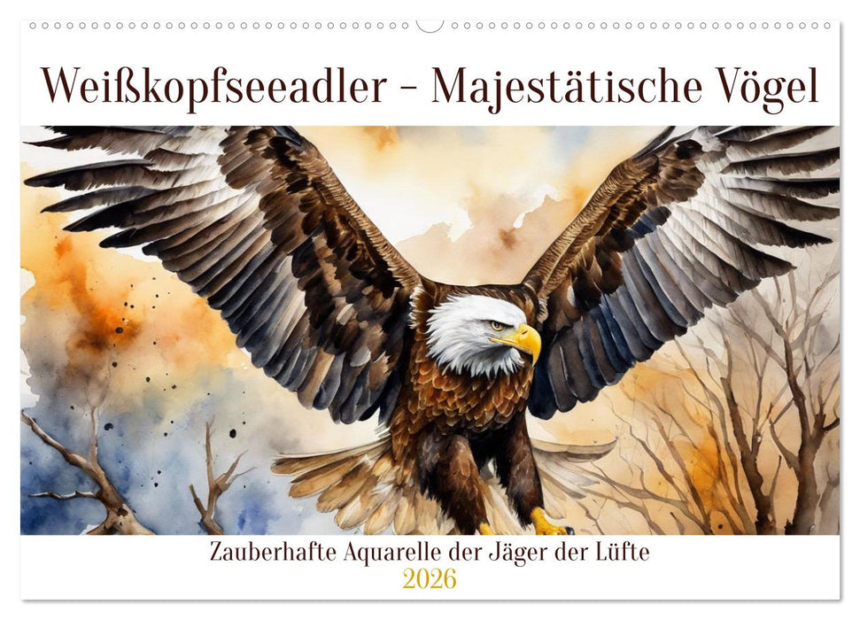 Weißkopfseeadler - Majestätische Vögel (CALVENDO Wandkalender 2026)