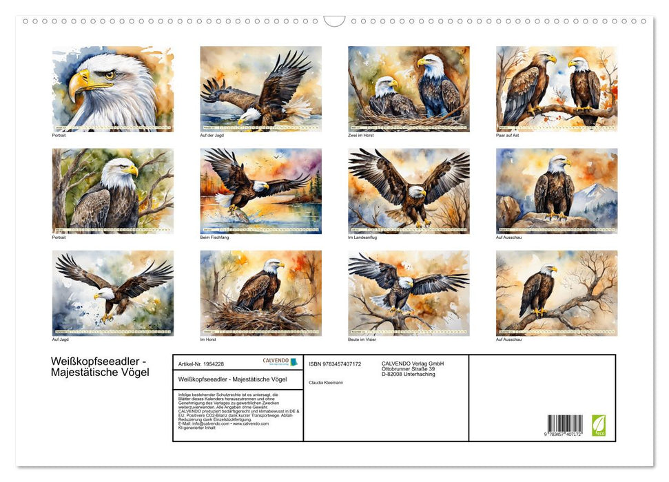 Weißkopfseeadler - Majestätische Vögel (CALVENDO Wandkalender 2026)