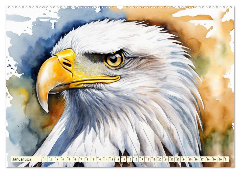 Weißkopfseeadler - Majestätische Vögel (CALVENDO Wandkalender 2026)