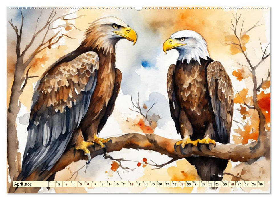Weißkopfseeadler - Majestätische Vögel (CALVENDO Wandkalender 2026)