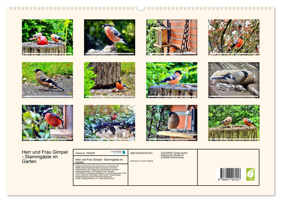 Herr und Frau Gimpel - Stammgäste im Garten (CALVENDO Premium Wandkalender 2026)