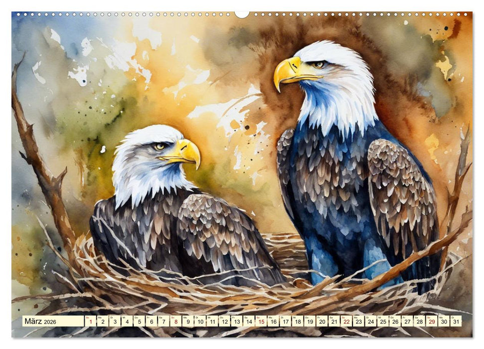 Weißkopfseeadler - Majestätische Vögel (CALVENDO Premium Wandkalender 2026)