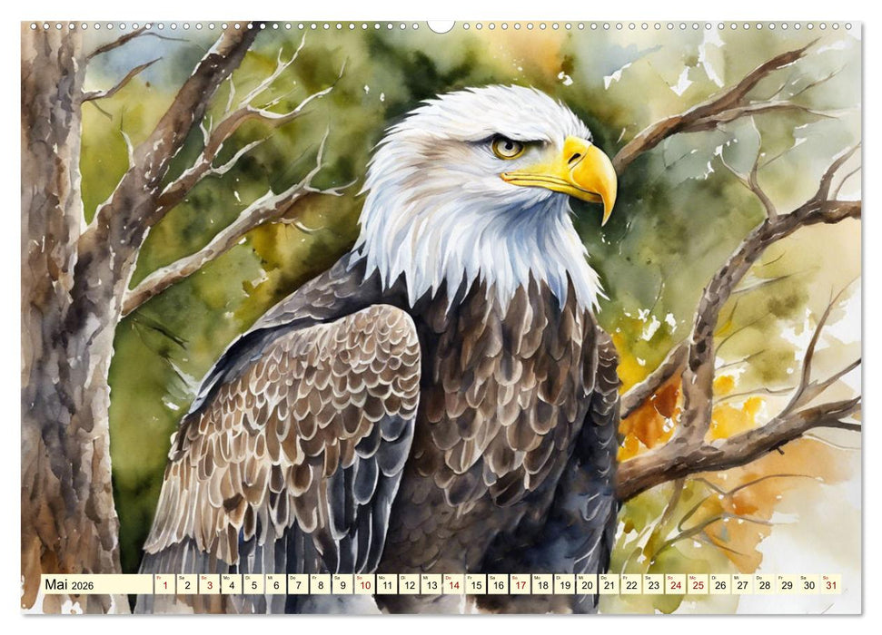 Weißkopfseeadler - Majestätische Vögel (CALVENDO Premium Wandkalender 2026)