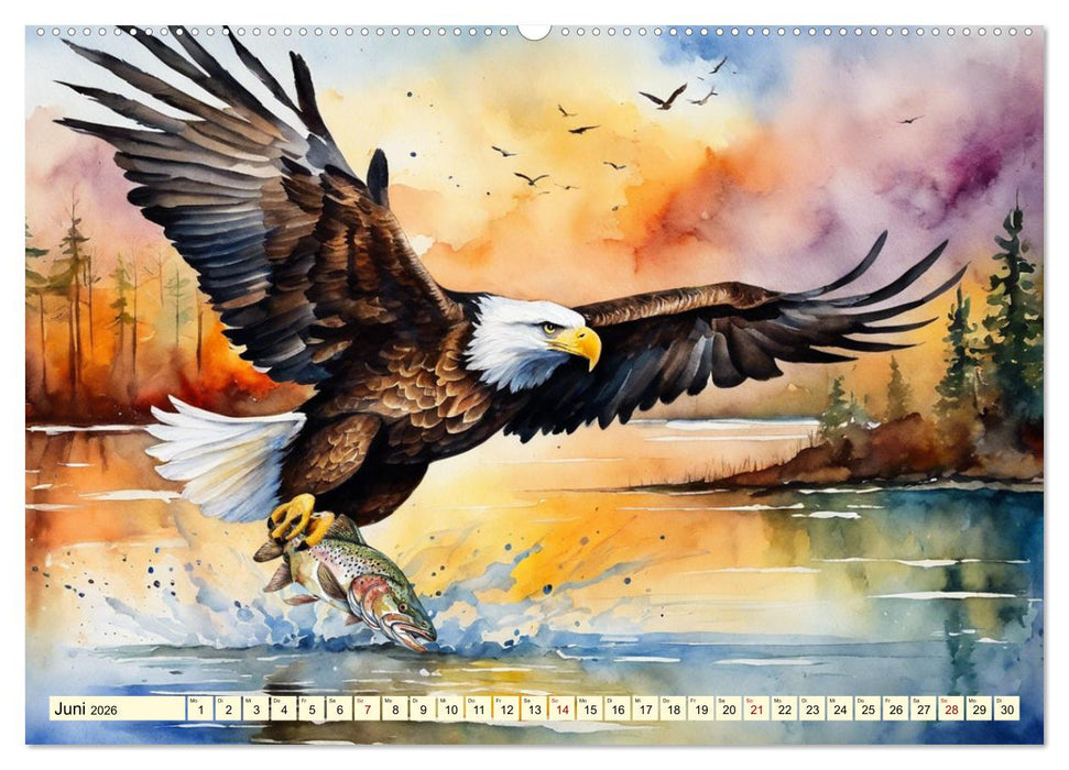 Weißkopfseeadler - Majestätische Vögel (CALVENDO Premium Wandkalender 2026)