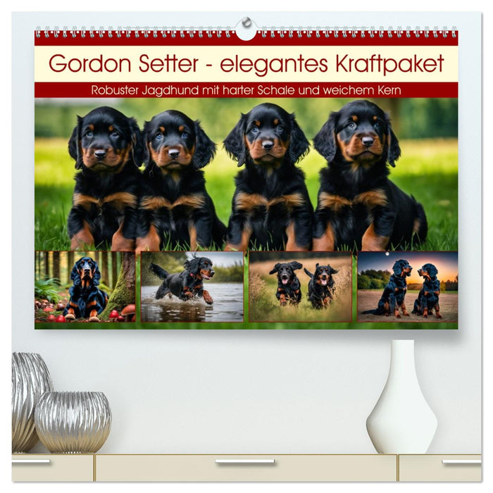 Gordon Setter - elegantes Kraftpaket (CALVENDO Premium Wandkalender 2026)