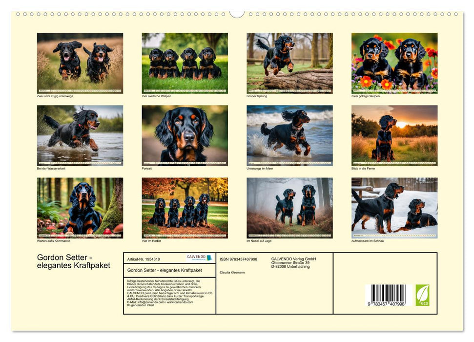 Gordon Setter - elegantes Kraftpaket (CALVENDO Premium Wandkalender 2026)