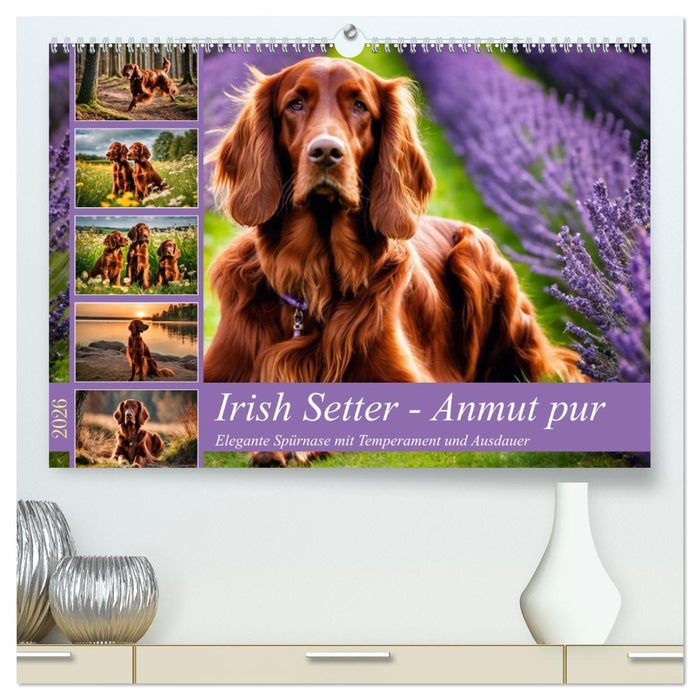 Irish Setter - Anmut pur (CALVENDO Premium Wandkalender 2026)