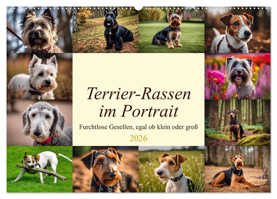 Terrier-Rassen im Portrait (CALVENDO Wandkalender 2026)
