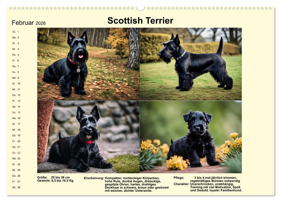 Terrier-Rassen im Portrait (CALVENDO Wandkalender 2026)