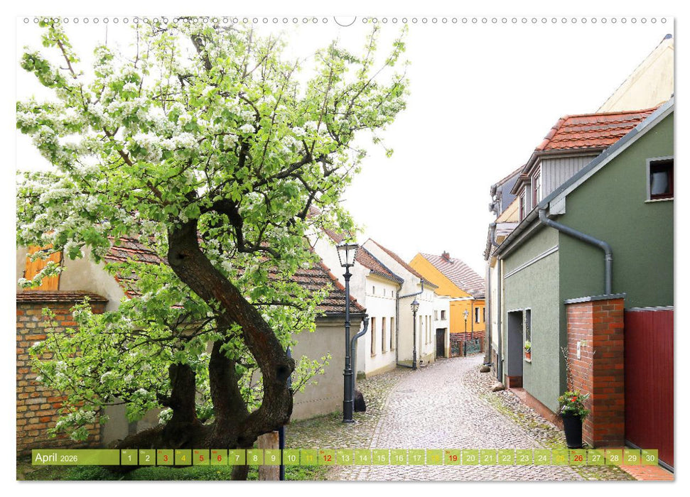 Werder (Havel) - Die Altstadtinsel (CALVENDO Wandkalender 2026)