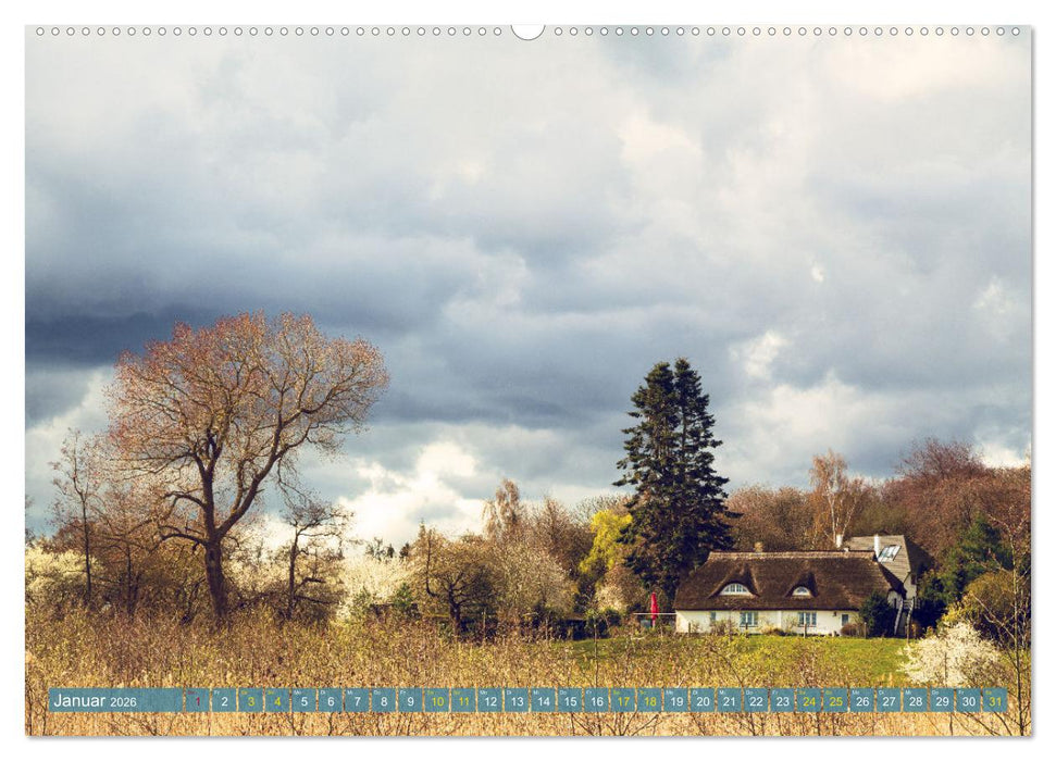 Buschvitz - Geografischer Mittelpunkt der Insel Rügen (CALVENDO Wandkalender 2026)