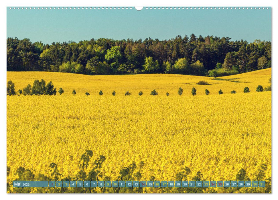 Buschvitz - Geografischer Mittelpunkt der Insel Rügen (CALVENDO Wandkalender 2026)