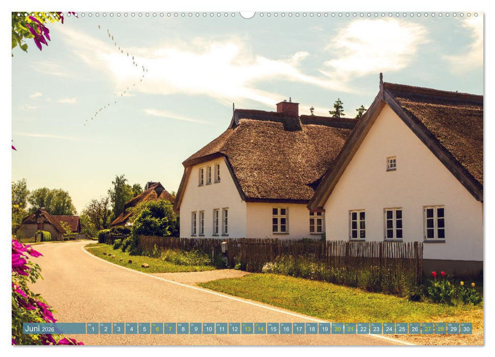 Buschvitz - Geografischer Mittelpunkt der Insel Rügen (CALVENDO Wandkalender 2026)