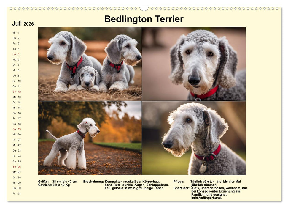 Terrier-Rassen im Portrait (CALVENDO Premium Wandkalender 2026)