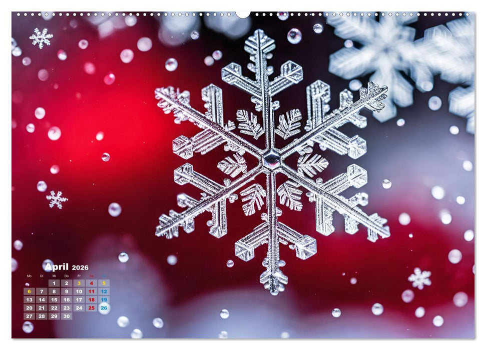Schneekristalle und Eiszapfen Eisige Zeiten für alle Winterfans (CALVENDO Wandkalender 2026)