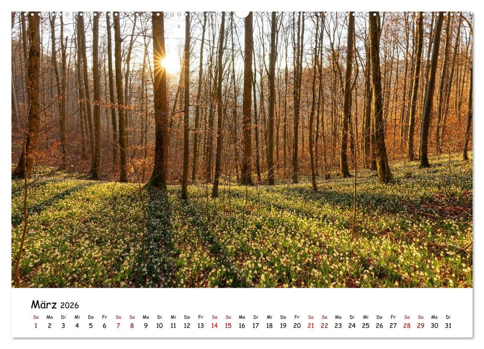 Faszination Schwäbische Alb (CALVENDO Premium Wandkalender 2026)