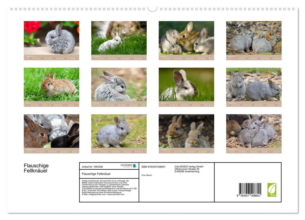 Flauschige Fellknäuel (CALVENDO Premium Wandkalender 2026)