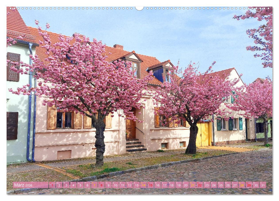 Werder (Havel) - Die Altstadtinsel (CALVENDO Premium Wandkalender 2026)