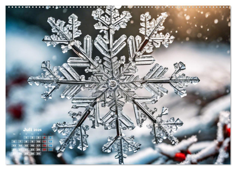 Schneekristalle und Eiszapfen Eisige Zeiten für alle Winterfans (CALVENDO Premium Wandkalender 2026)