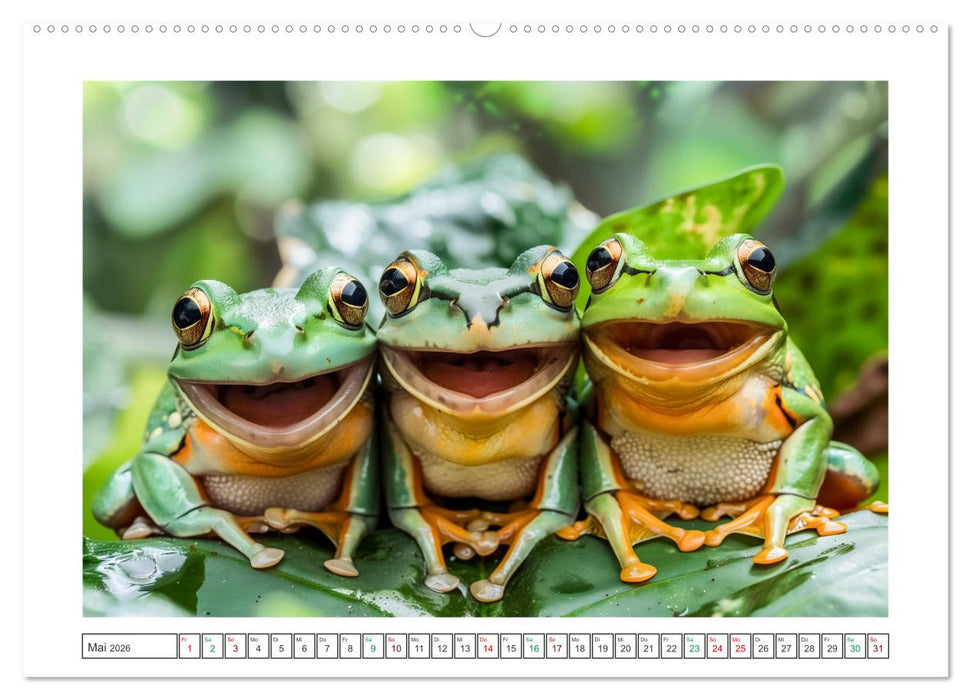 Lustige Amphibienbande (CALVENDO Wandkalender 2026)