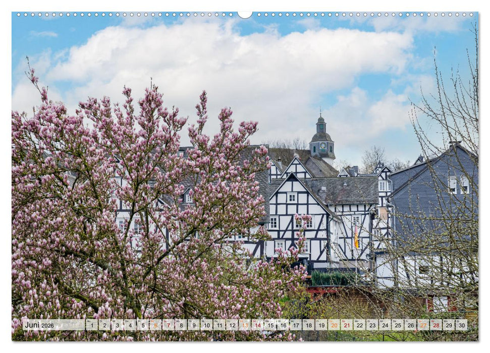 Freudenberg Impressionen (CALVENDO Premium Wandkalender 2026)
