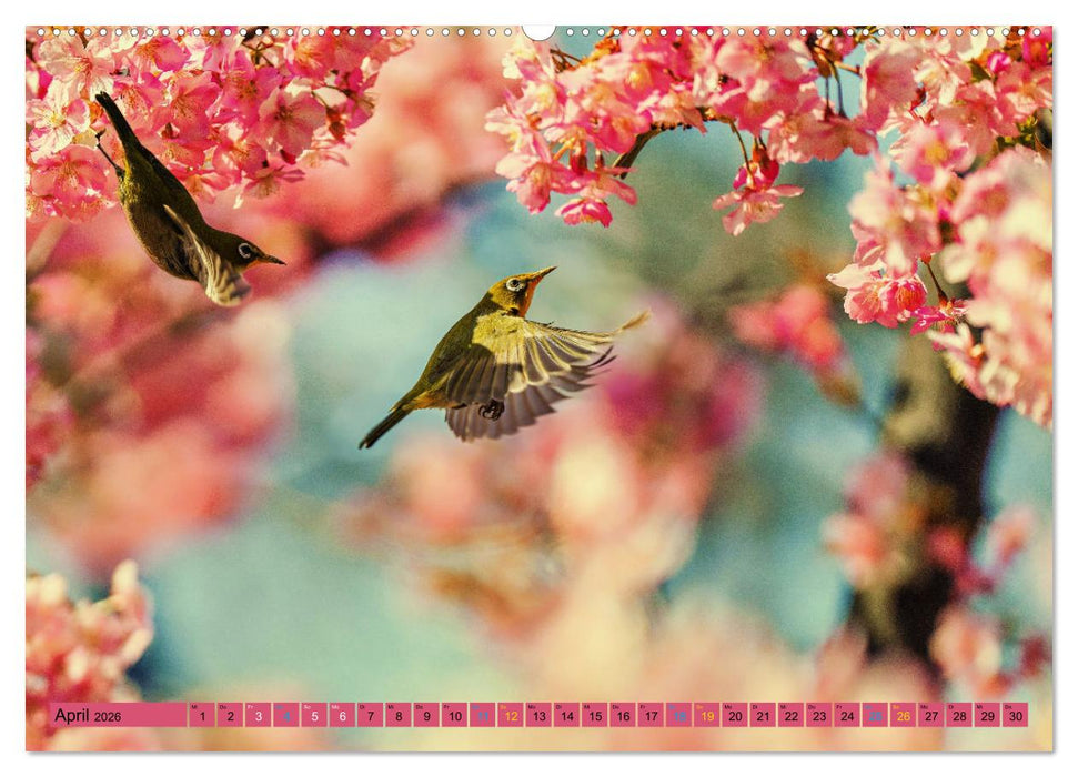 JAPAN - Im Land des Lächelns (CALVENDO Premium Wandkalender 2026)