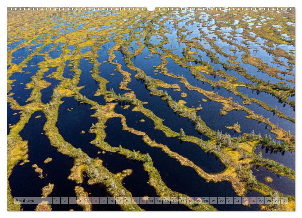 Wildes Finnland (CALVENDO Wandkalender 2026)