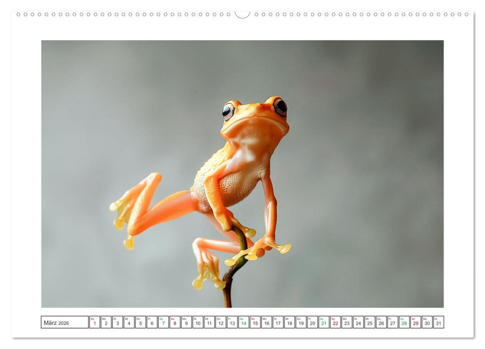 Lustige Amphibienbande (CALVENDO Premium Wandkalender 2026)