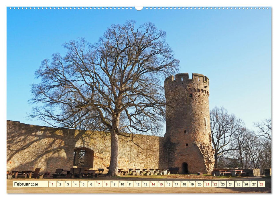 Heppenheim - Weinstadt unter der Starkenburg (CALVENDO Wandkalender 2026)