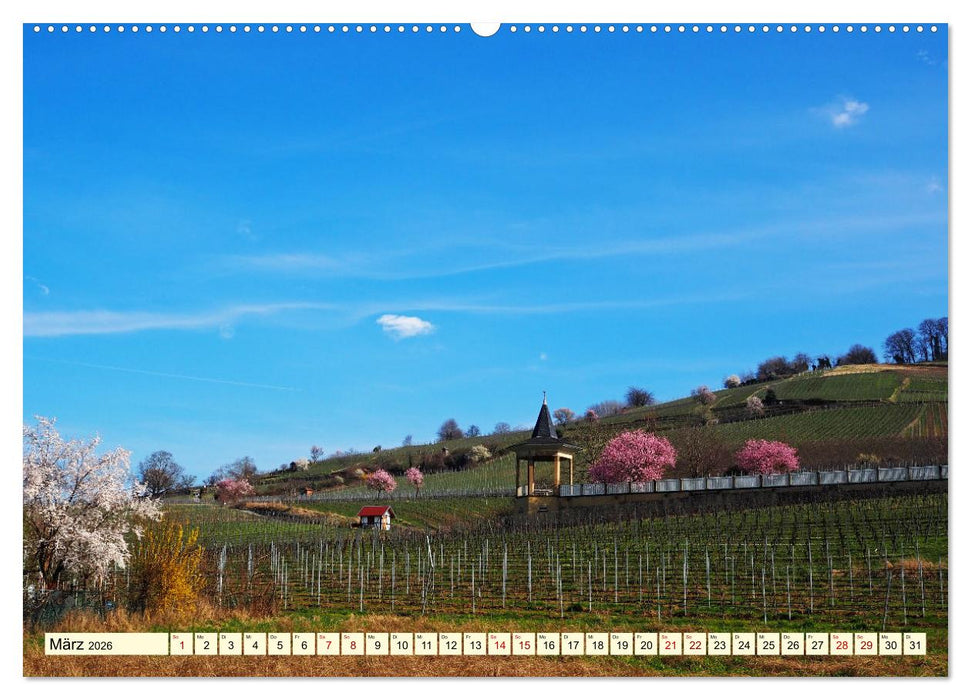 Heppenheim - Weinstadt unter der Starkenburg (CALVENDO Wandkalender 2026)