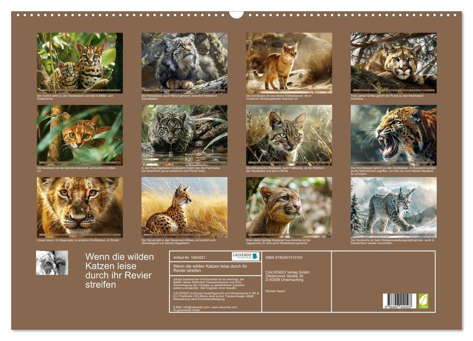 Wenn die wilden Katzen leise durch ihr Revier streifen (CALVENDO Wandkalender 2026)