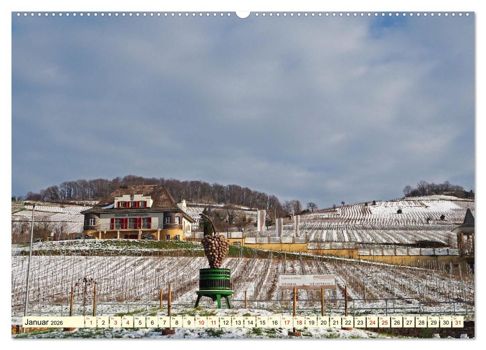 Heppenheim - Weinstadt unter der Starkenburg (CALVENDO Premium Wandkalender 2026)