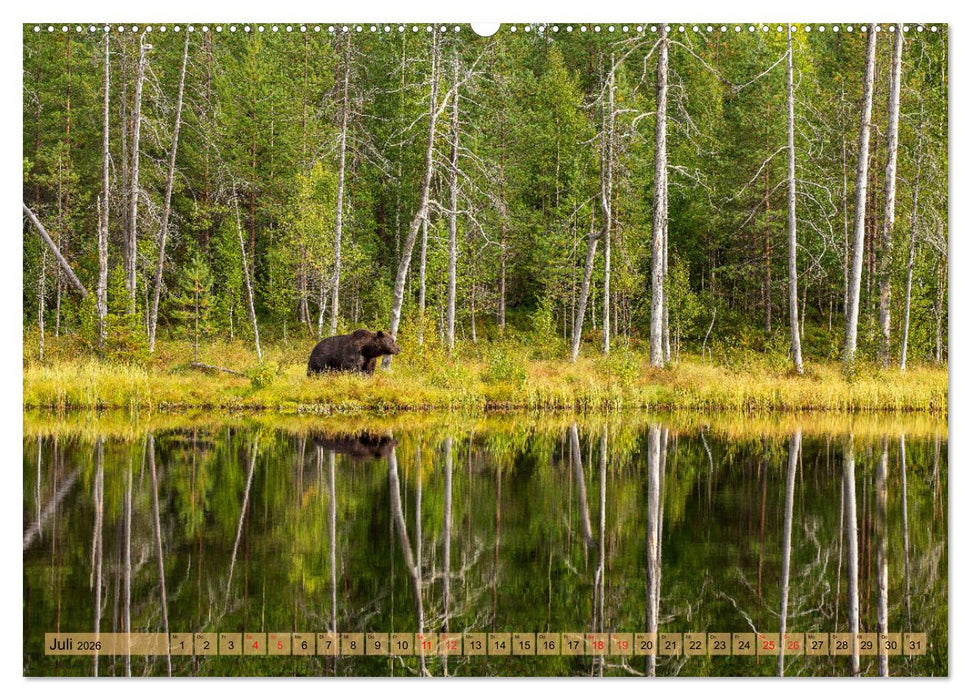 Wildes Finnland (CALVENDO Premium Wandkalender 2026)