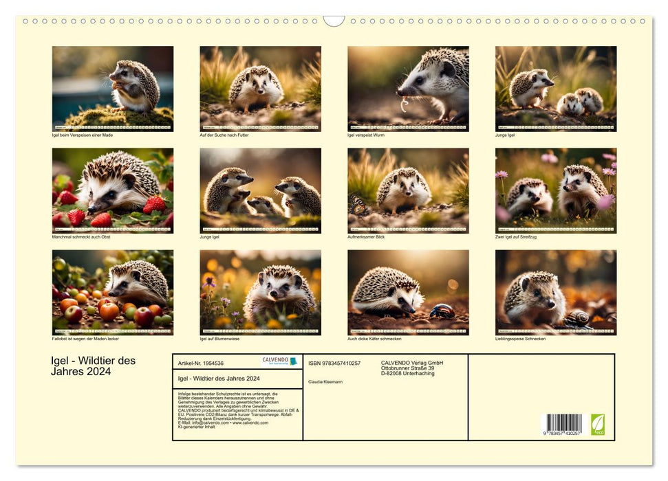 Igel - Wildtier des Jahres 2024 (CALVENDO Wandkalender 2026)