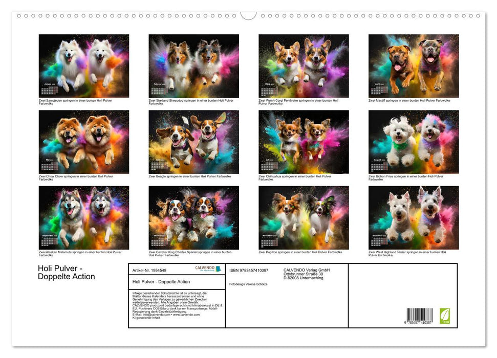 Holi Pulver - Doppelte Action (CALVENDO Wandkalender 2026)